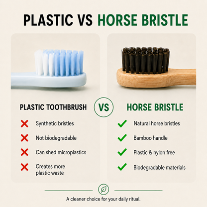 Horse Bristle & Bamboo Toothbrush (100% Plastic Free)